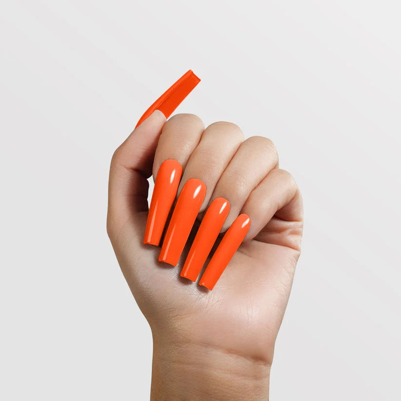 Chaun Legend Powder #A2.151 - A2.180